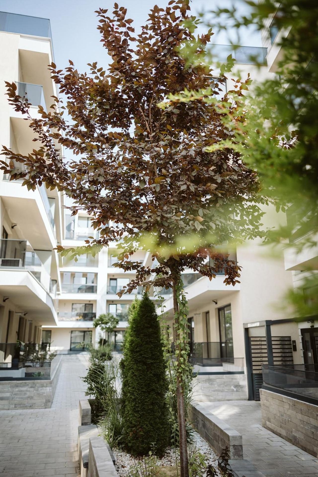 Dec Apartments Bucarest Exterior foto